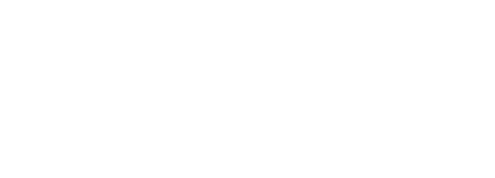 ARICEホールディングス