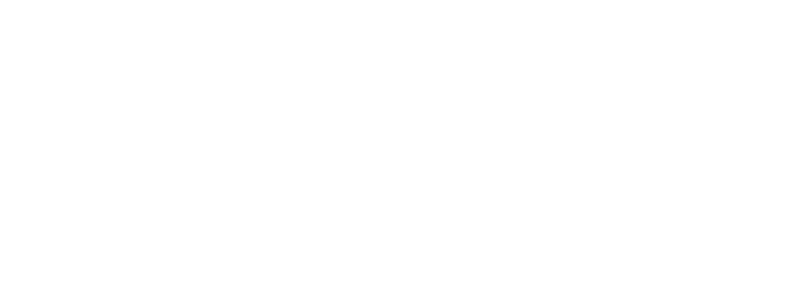 ARICEホールディングス
